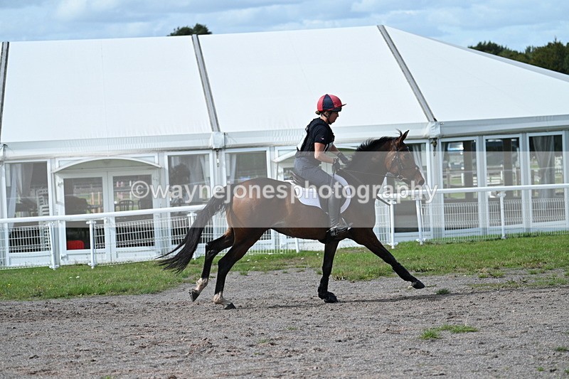 WJ7_2396 - Time 13:55 to 14:05