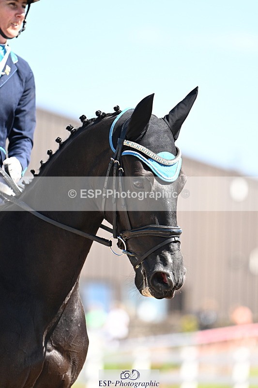 240816A-112906-04047 - 274-Alys.Matravers-DARGASONS.MOON.SHADOW