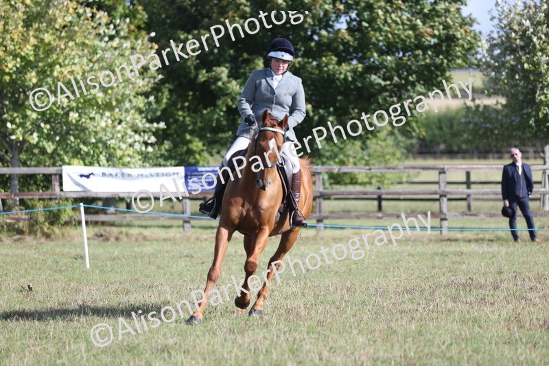 20250831-0904 - Class 14 - Ex Racehorse