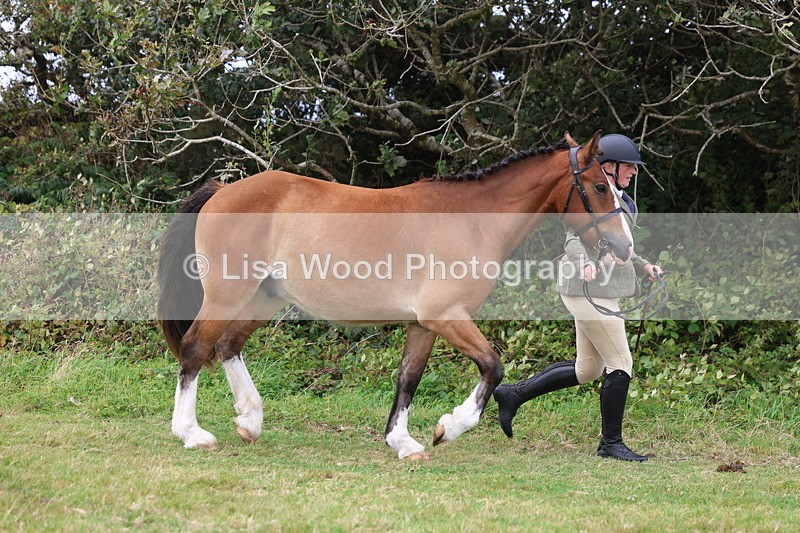 3E7A4095 - Class 15: Two Year Olds