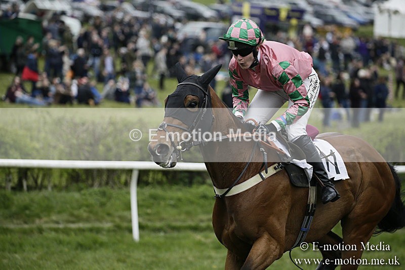 PtP 170417 571 - Old Berks Point-to-Point Lockinge 17/04/17