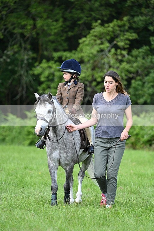 WJ7_0984 - Class 11 Condition & Turnout