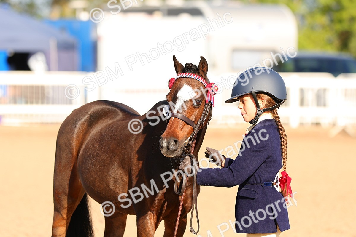 SBM_08650 - Class 203 - Young Handler 10 Years and Under