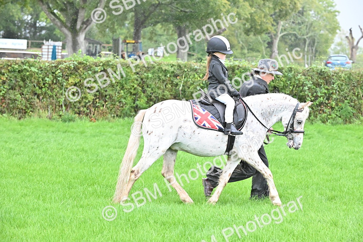 SBM_36497 - S18 - Novice & Newcomer Lead Rein Pony