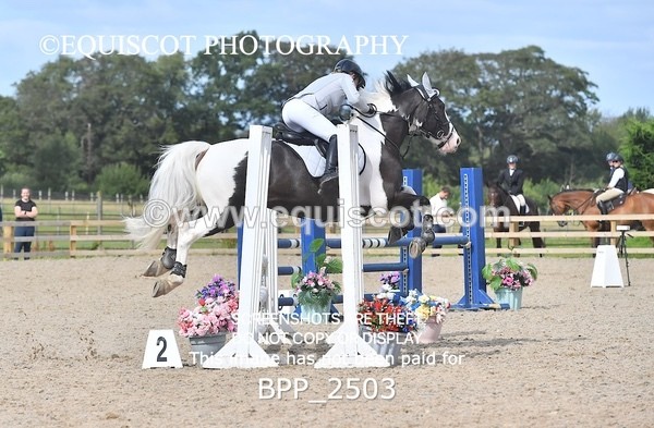 BPP_2503 - DERBY CLASS 7 - 80CM