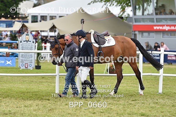 BPP_0660 - RHS 2019 Selection - *Just some random spectator shots so Lucky Dip if you are there!