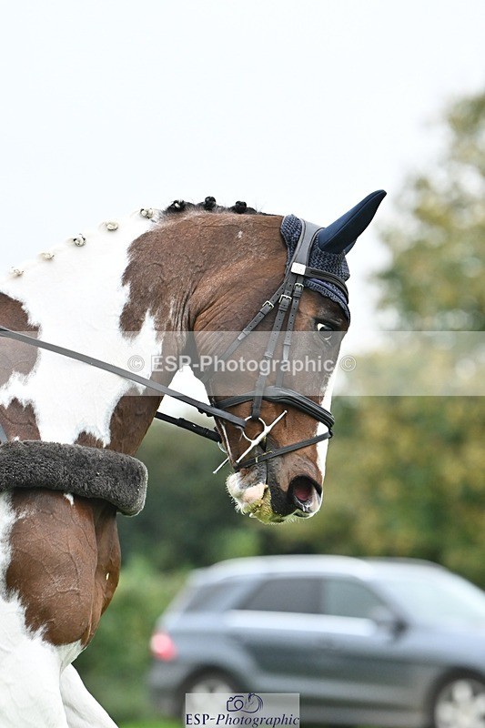 241024-135506-04248 - 331-Amber.Williams-COSMIC.MIKADO