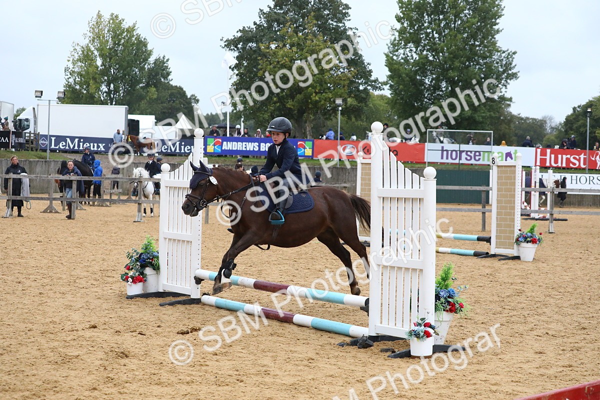 SBM_72000 - J3b - Mini Tour Junior Pony 40cm Championship