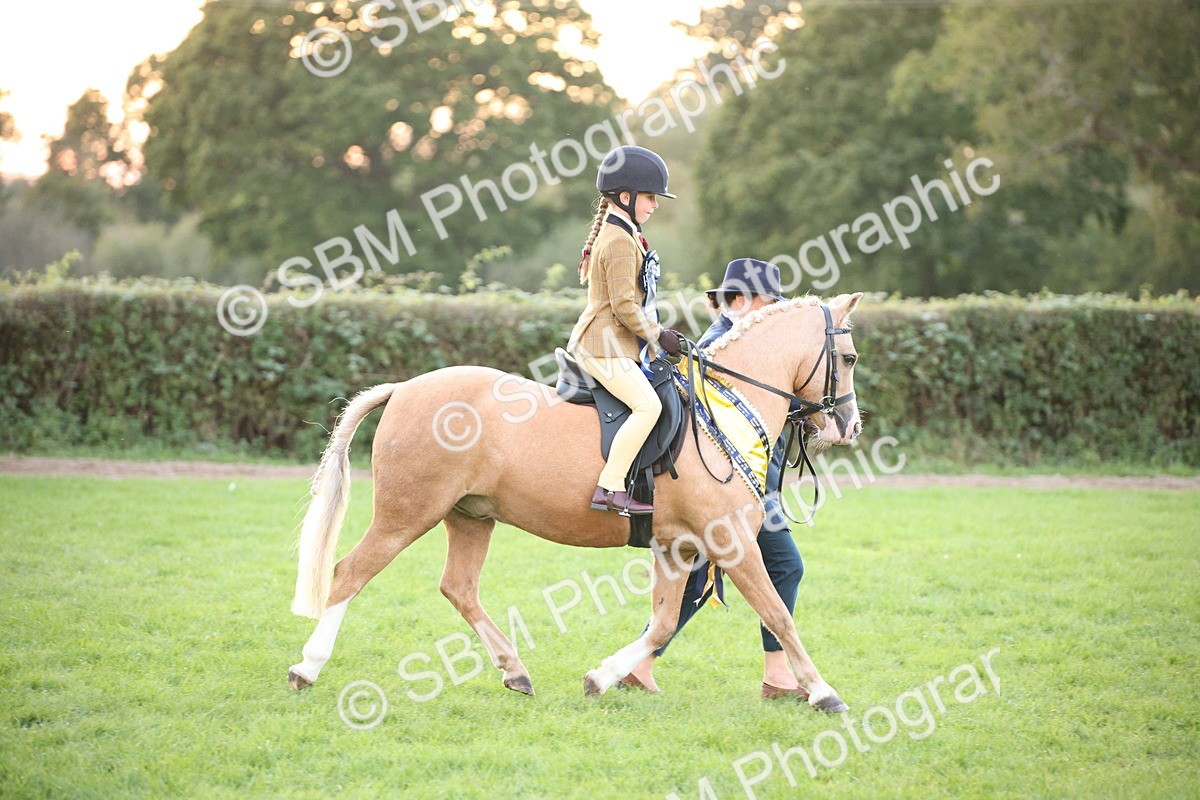 SBM_57128 - Super Supreme Championship