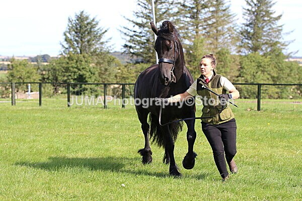 SIAL6222 - Ring 1 & 3