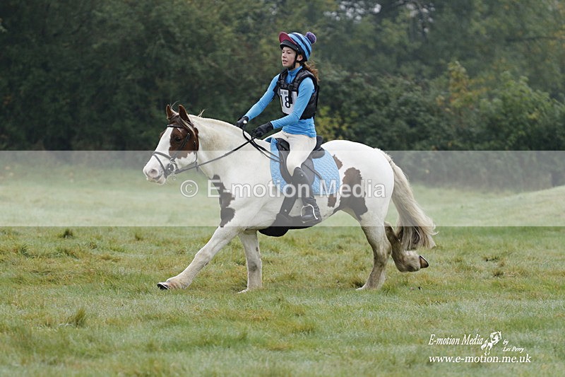WWHT 171021 0466 - Novice Restricted (0.80m)  17/10/21