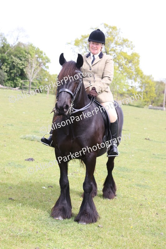 20260426-3039 - Class 33 - Best Pony 14.2hh and Under