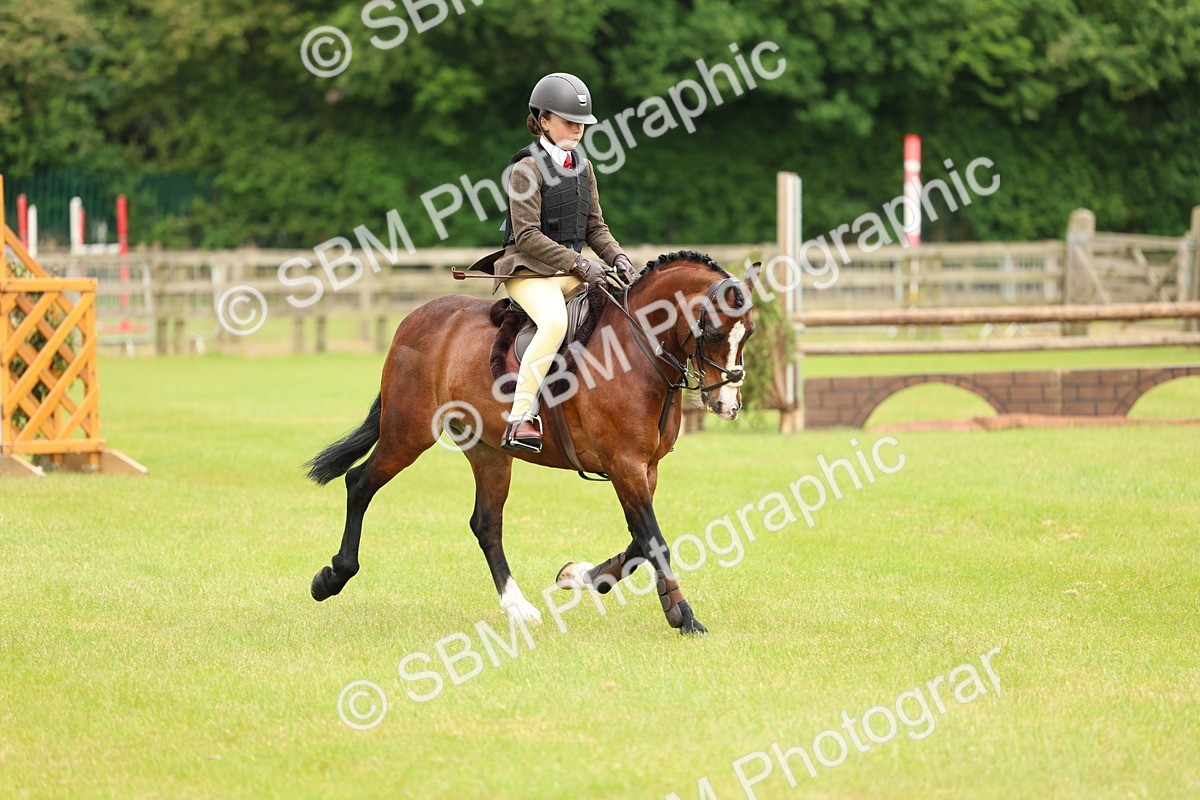 SBM_10299 - Class 44-45 - LIHS BSPS Open Nursery and Cradle Stakes