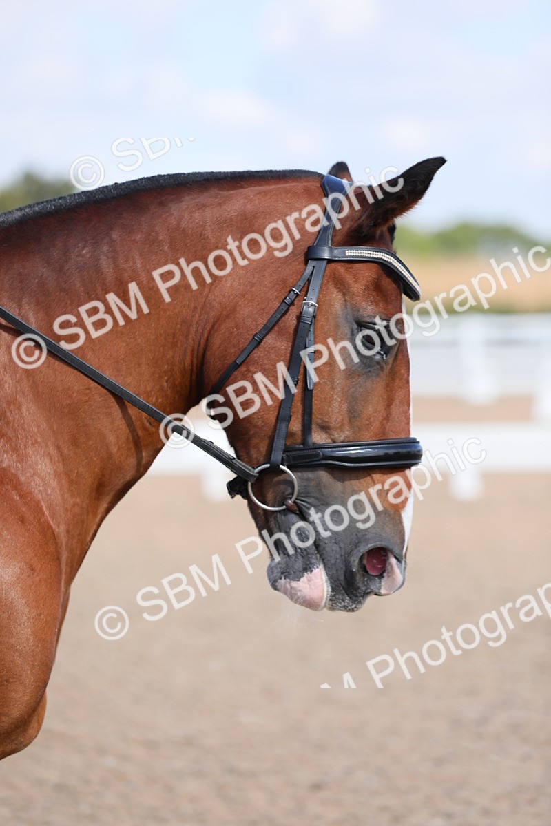 SBM_03819 - Class 31 Prelim 1