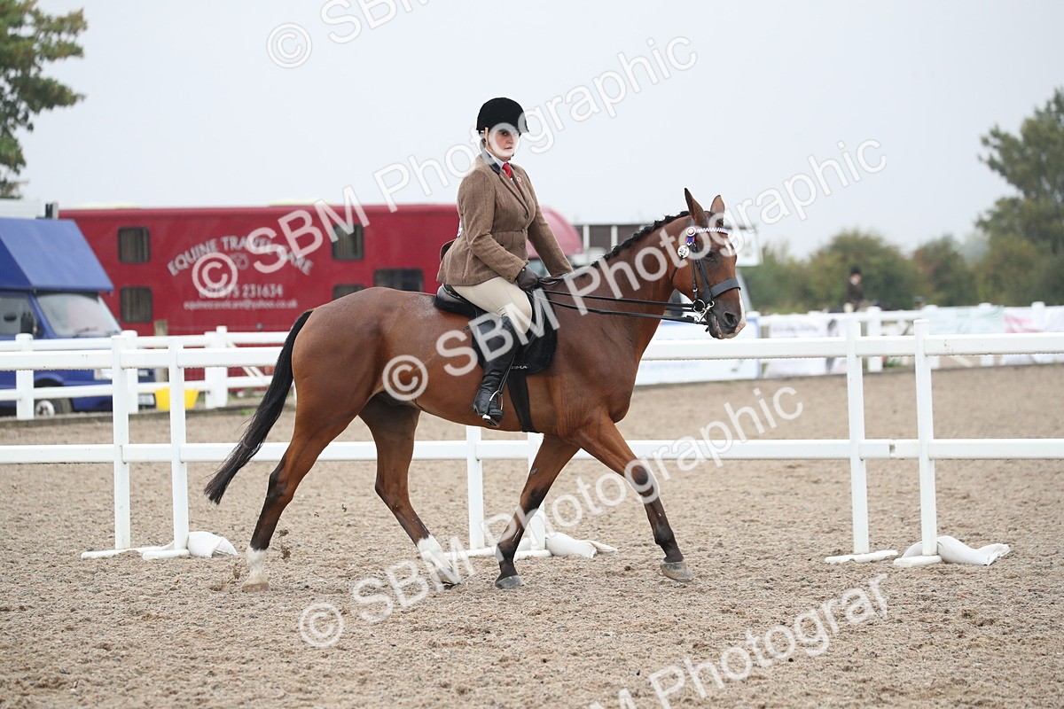 SBM_21560 - Class 602 - 2025 Area - Ridden Veteran