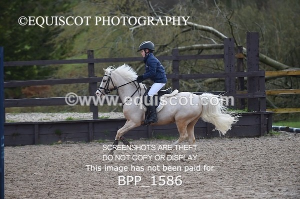 BPP_1586 - CLASS 8 Springboard