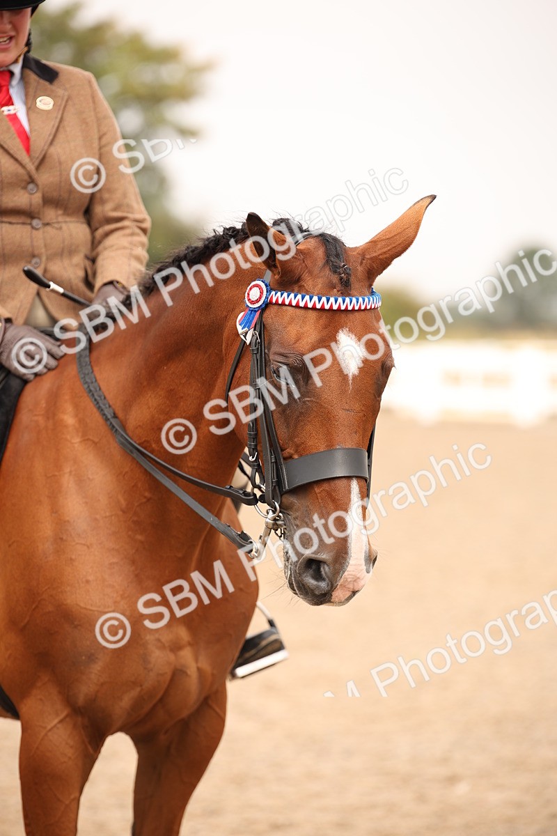 SBM_22229 - Class 708 - Ridden Rescue
