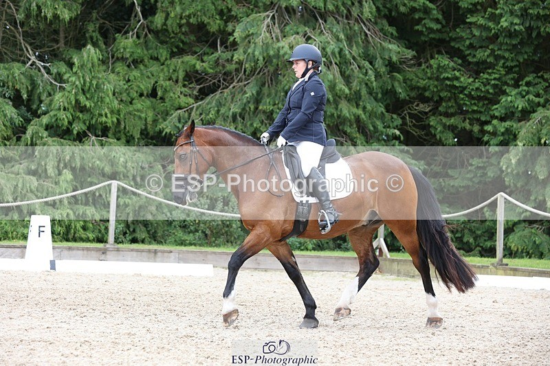 230812-143000-04439 - Cls 5 Novice Bronze 13.40 to 14.45 break