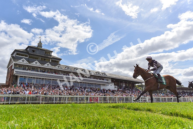 030824-Race 2-Barefoot Warrior-2421 - Race 2