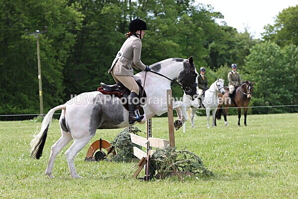 IMG_3250 - Working Hunter