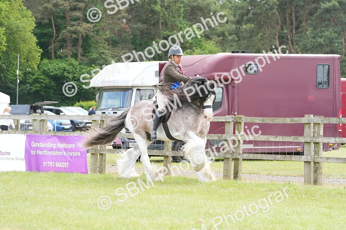 SBM_17352 - Class 107-108 - LIHS BSPS Performance Coloured Horse Pony