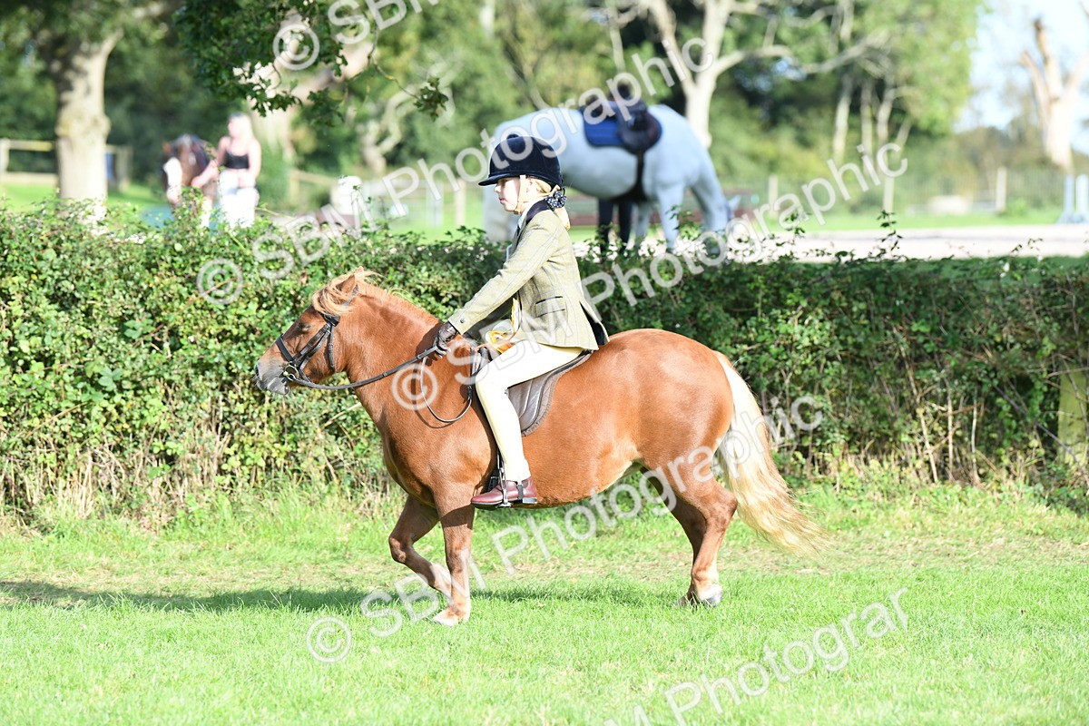 SBM_52100 - S21 - Novice & Newcomers 1st Ridden Pony