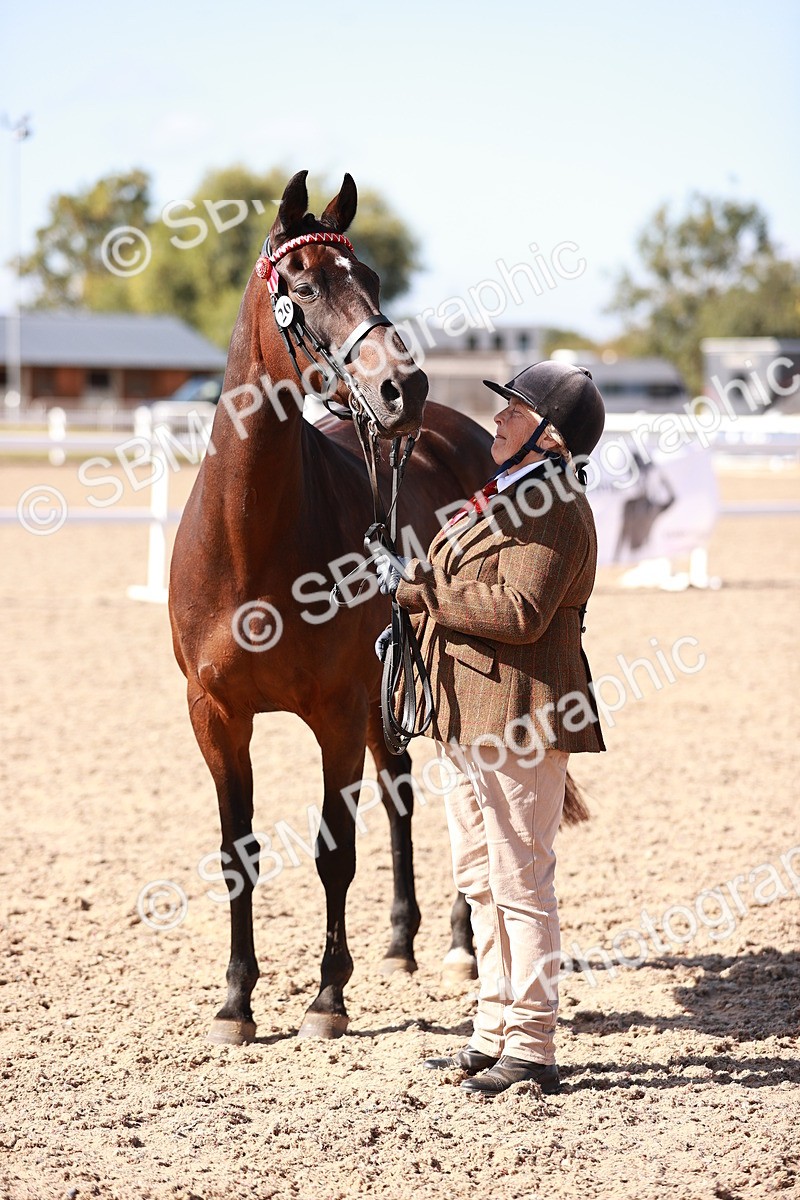 SBM_22820 - Class 705 - IH Combination 65+