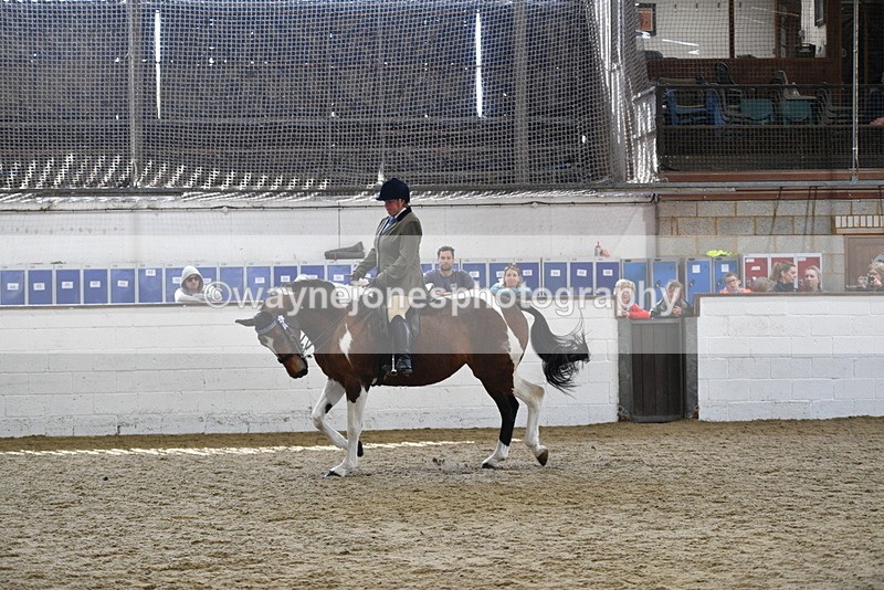 WJ5_6065 - Class 9 Ridden Veteran