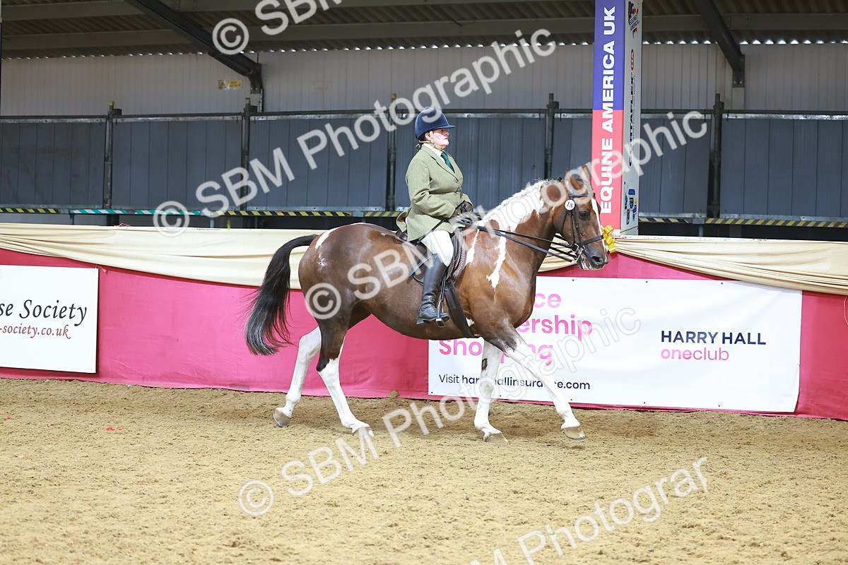 SBM_12461 - Class 103 - HOYS Veteran Qualifier - Ridden Pre Vet