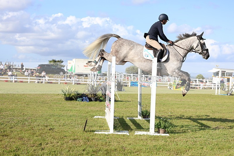 3E7A4393 - Class C: Showjumping Senior Foxhunter