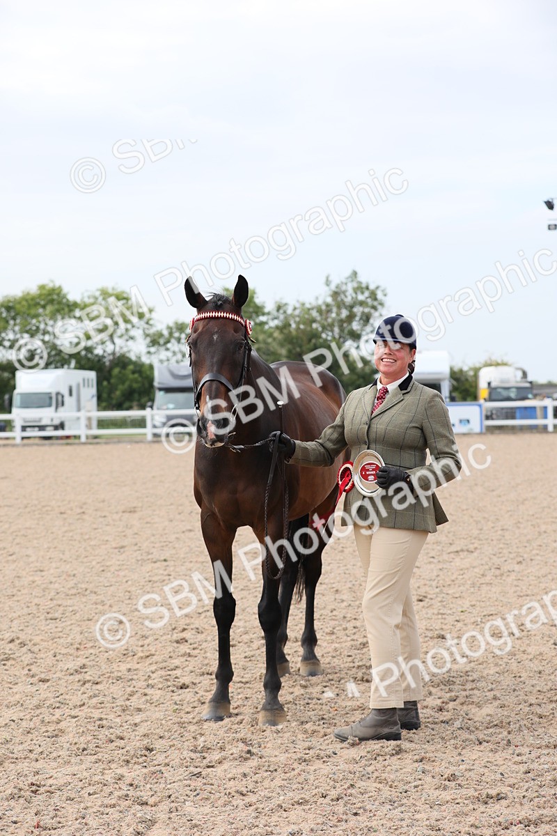 SBM_15964 - Class 313 IH Retired Racehorse