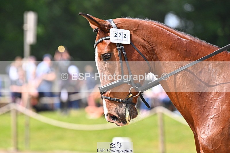 250523A-111038-06254 - C-272-Louisa.Lockwood-KILCANNON.OREO