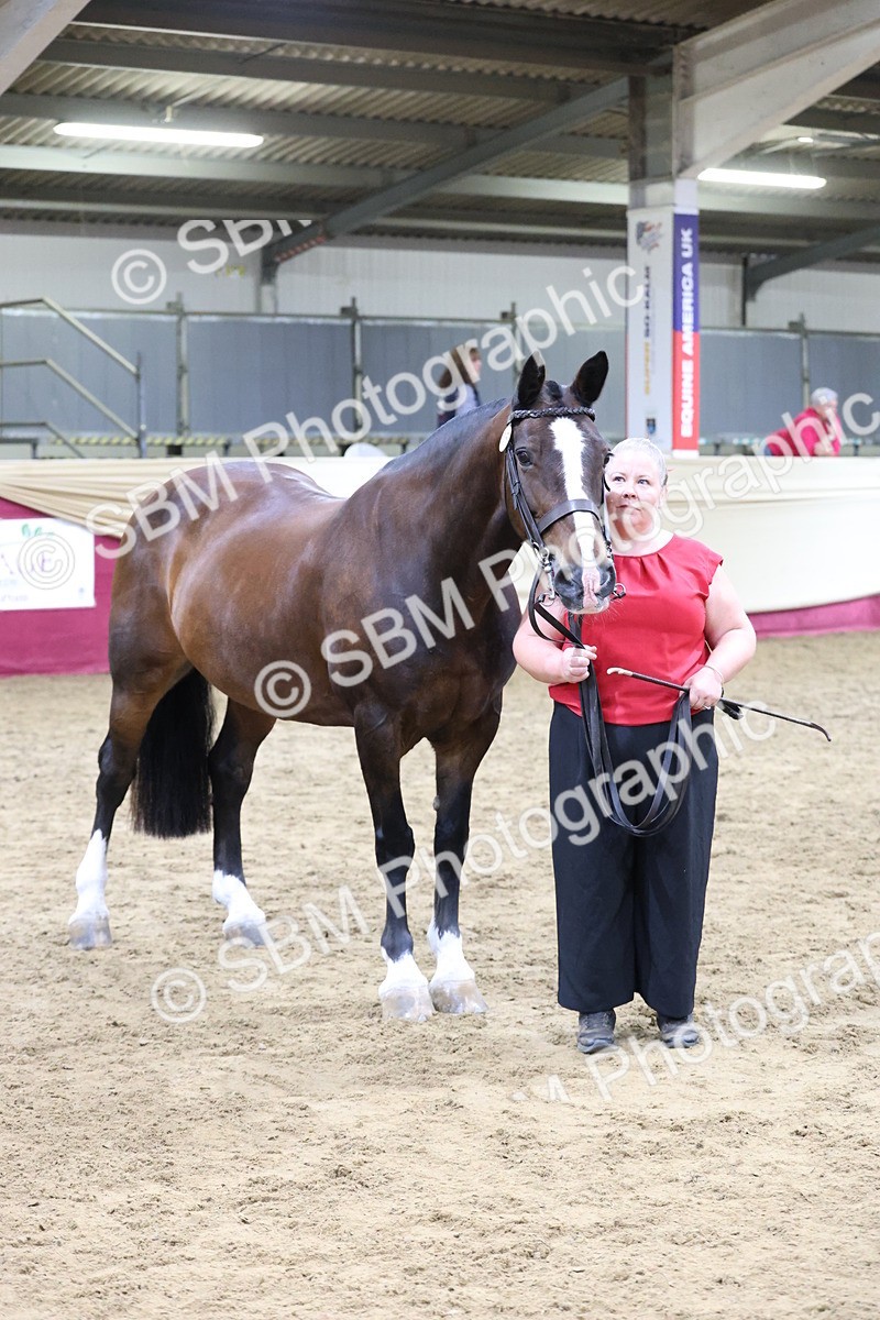 SBM_20187 - Class C - Novalty Champ