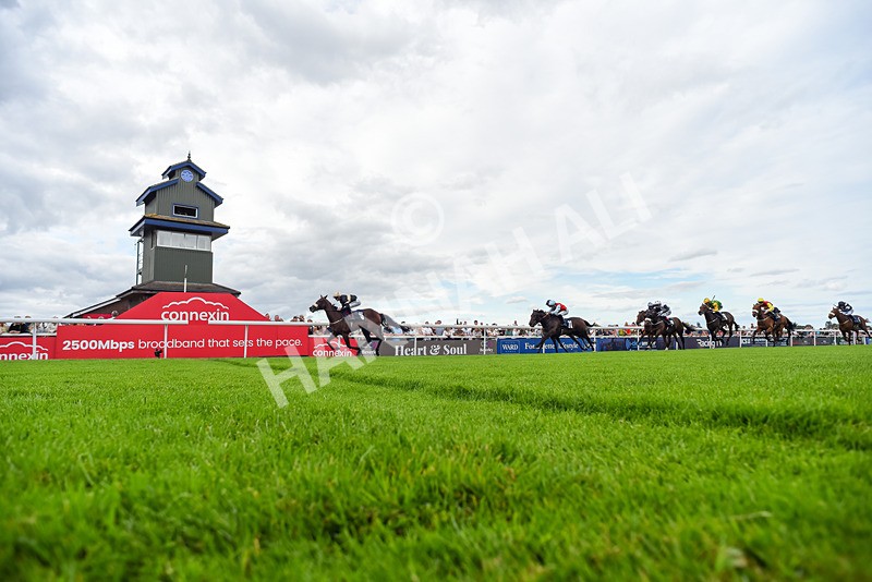 050725-Race 7-Dollys Delight-5607 - Race 7