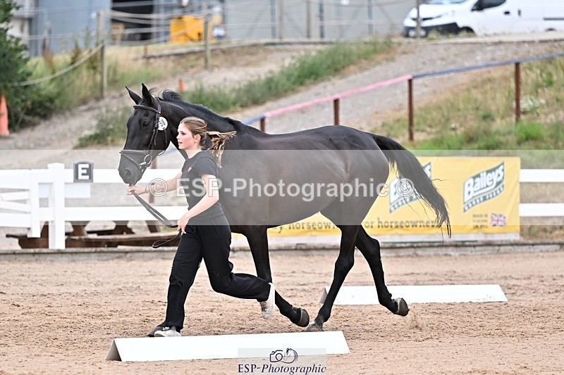 250716-134057-00622 - Trot Up 1.30 to 2.30