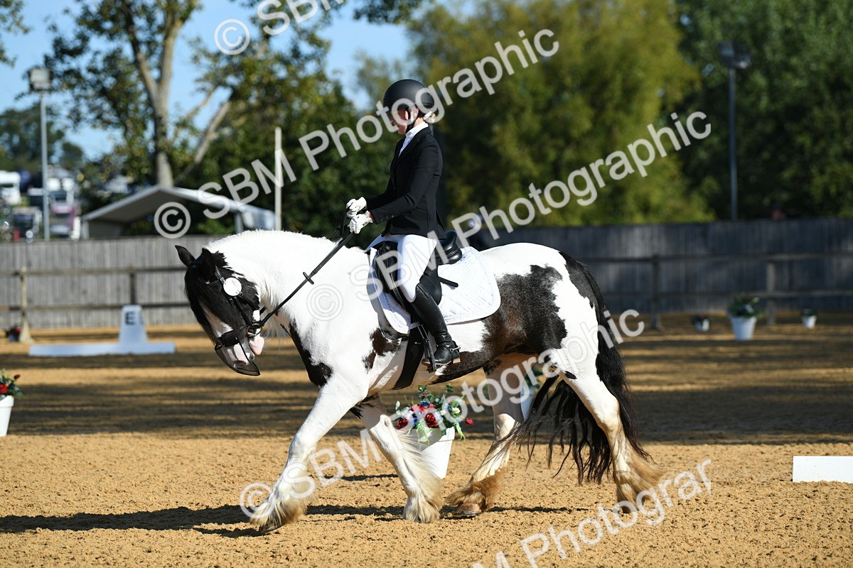 SBM_16284 - D4 - Small Tour Championship - Intro B