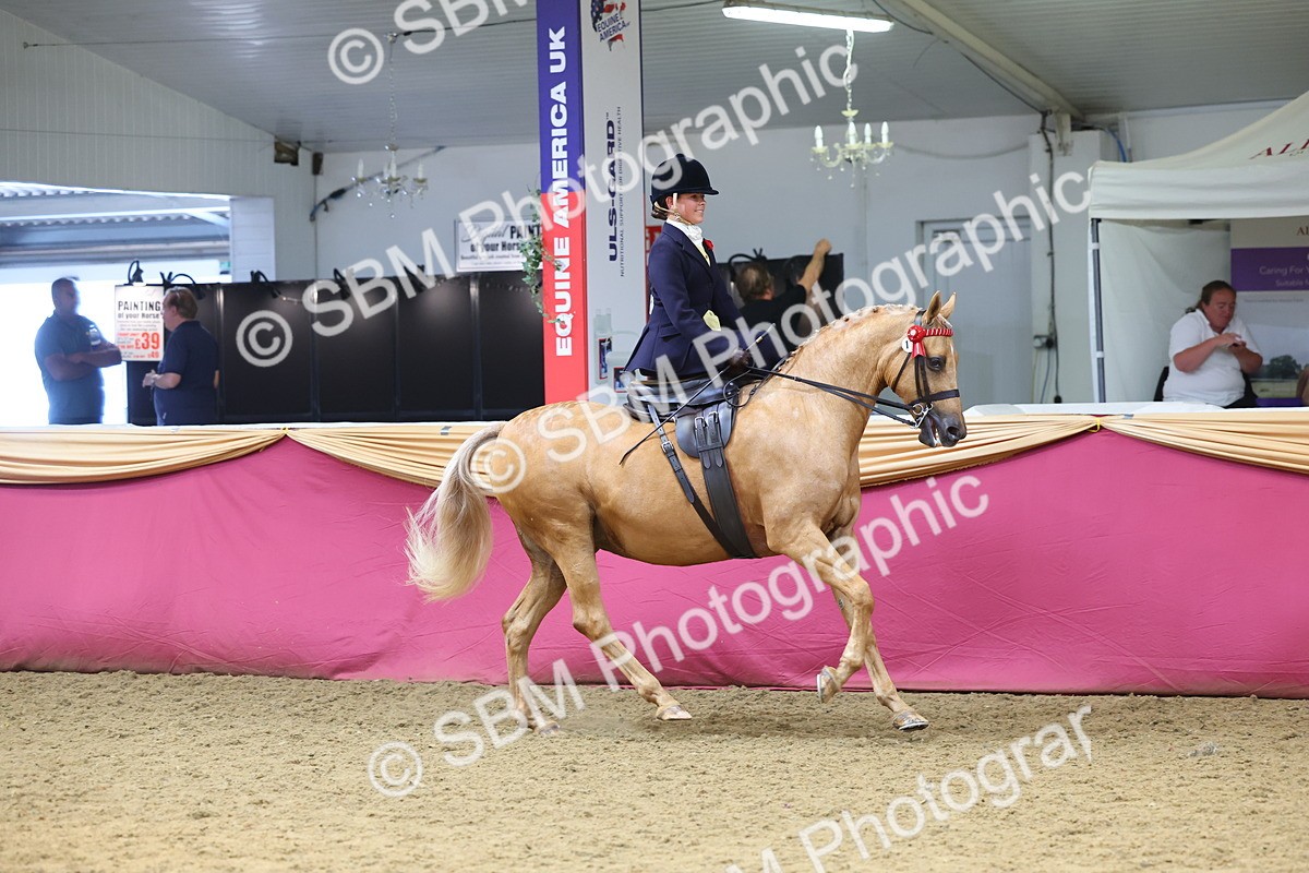 SBM_24350 - Class 906 - Supreme Final - Ridden Pre Vet