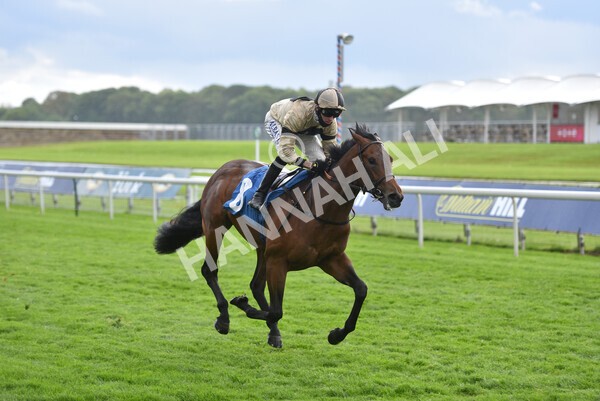 yr22052021r5-19 - Race 5 4.20pm William Hill EBF Novice Stakes (Plus 10 Race)