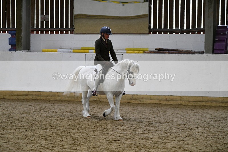 WJ5_6260 - Class 9 Ridden Veteran