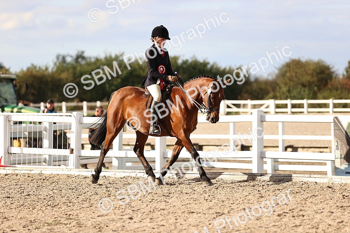 SBM_18293 - Class 423 - Equitation (best rider) Adult
