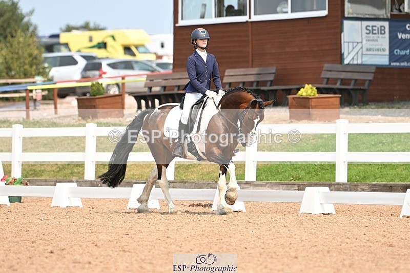 250816-140504-04999 - 050-Mollie.SheathTouch.Wood