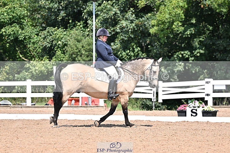 250816-121415-03948 - 082-Sarah.DavisWinston.Classic.Gold