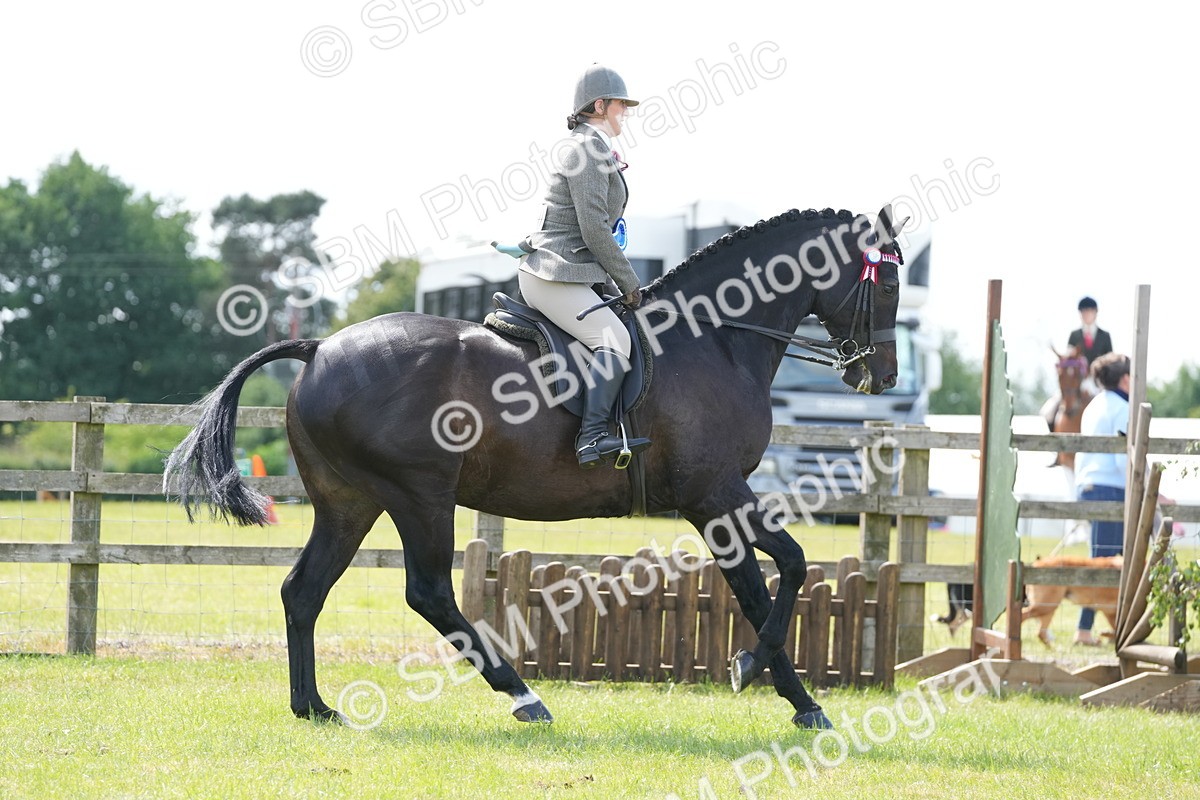 SBM_16317 - Class 105-106 - RIHS Riding Horses