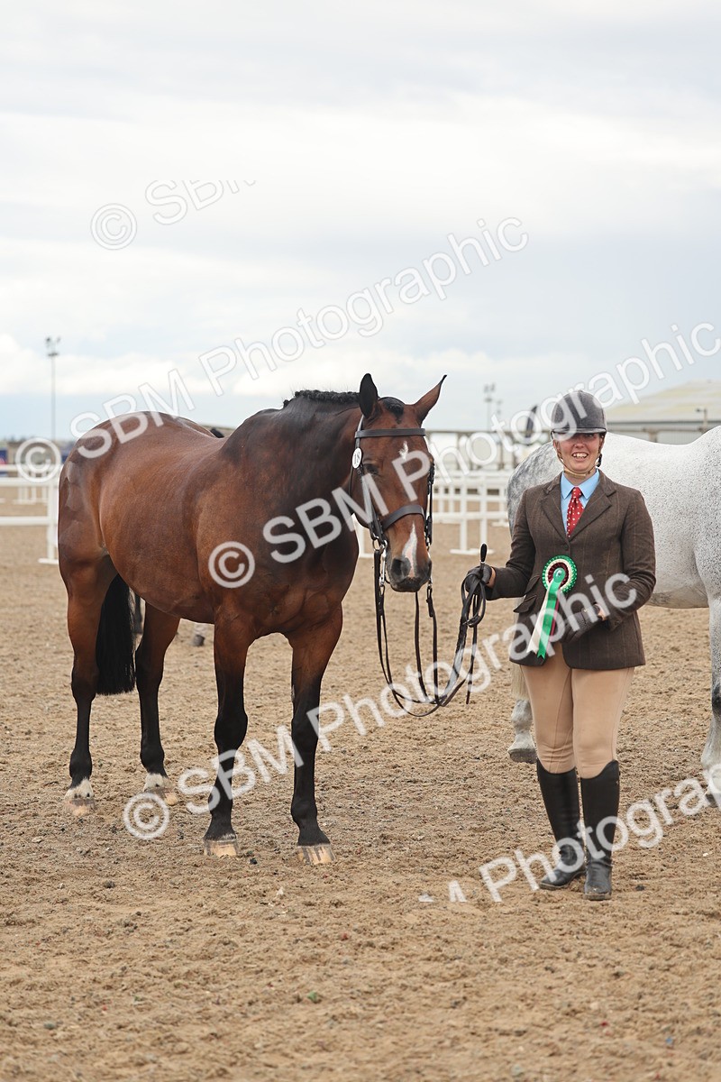 SBM_07948 - Class 28 - IH Veteran Horse