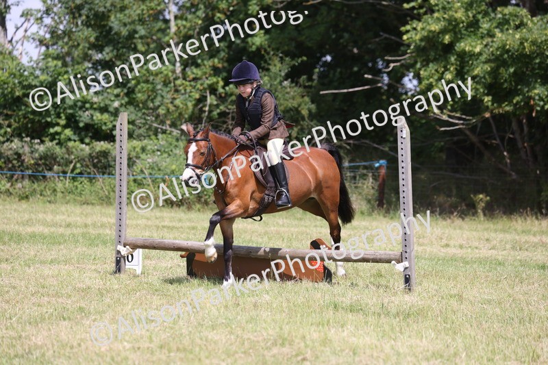 20260614-1752 - Class 21 - Novice Working Hunter Pony