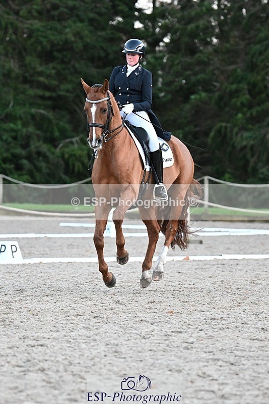 231110-163917-02702 - Cls 14 FEI Grand Prix