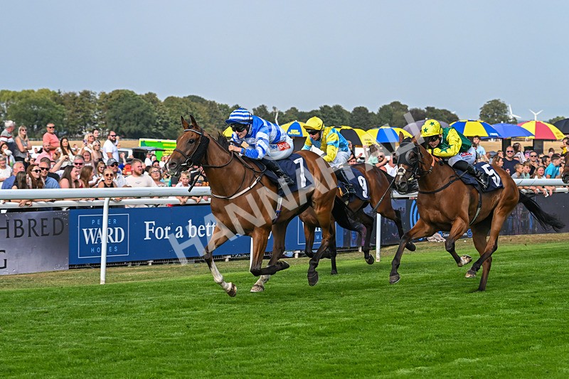 240825-Race 5-This Years Love-3420 - Race 5