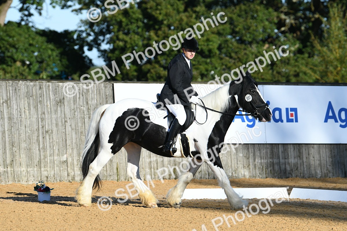 SBM_14432_D4 - Small Tour Championship - Intro B - Theresa Huttom