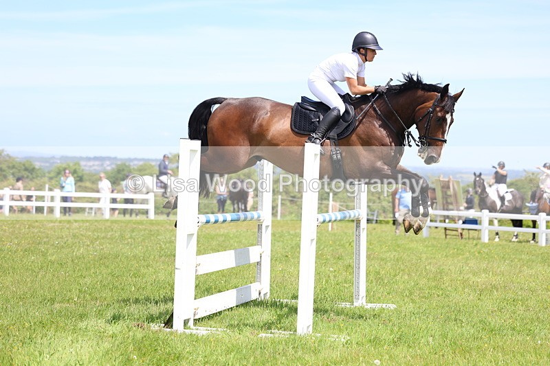 3E7A1297 - Class 12: Senior Foxhunter/1.20 open