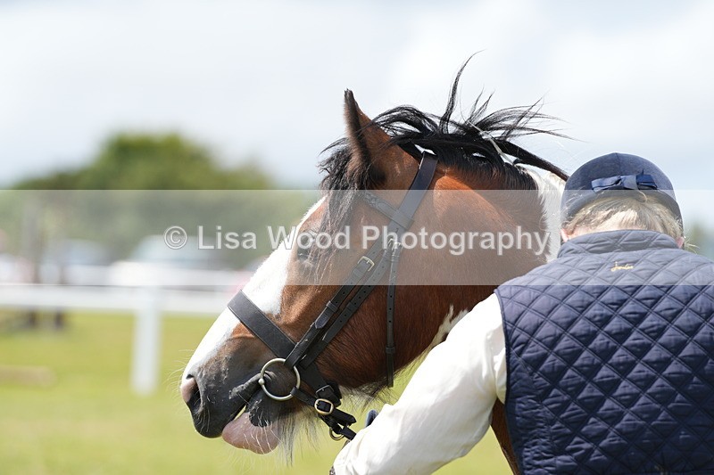 DSC06770 - Class 58: Coloured Pony Youngstock